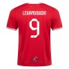 Officiële Voetbalshirt Polen LEWANDOWSKI 9 Uit WK 2022 - Heren